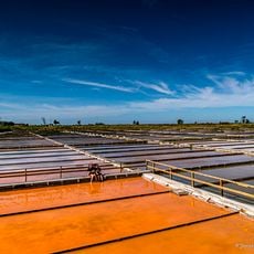 Aveiro Salt Flats