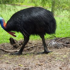 Moresby Range National Park