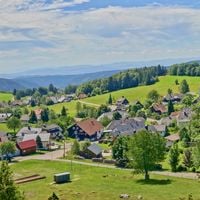 Dachsberg (Südschwarzwald)
