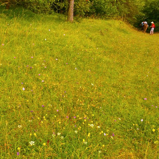 Maeuerchenberg, Hierneberg und Pinnert bei Goennersdorf