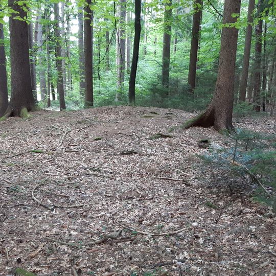 Grabhügel im Stockerwald