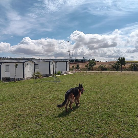 Apartamentos Era 124