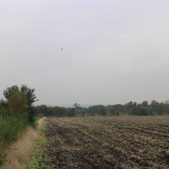 Astley and Bedford Mosses