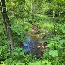Erlenbruchwald Beek am Grenzwall und Stöcker Bach