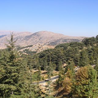 Reserva Natural de los Cedros de Al Shouf