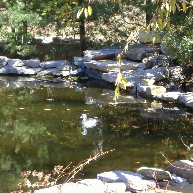 O'Bannon Woods State Park