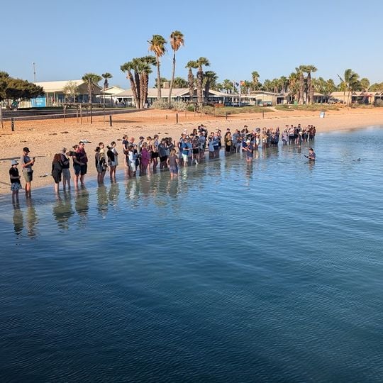 Dolphin Visitor Centre