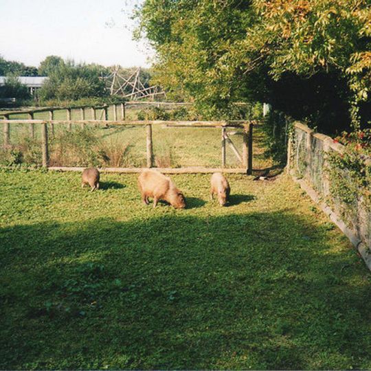 Curraghs Wildlife Park