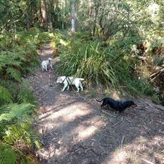 Beecroft Park