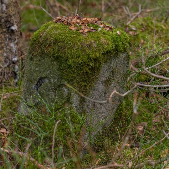 Forstgrenzsteine der Nord- und Westgrenzen des Fürther Stadtwaldes Nr. 52–54, 56–59, 64–65, 67, 69–75, 77, 82–84, 86, 88, 91–95, 99–102, 105