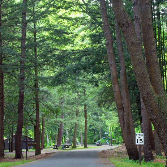Sizerville State Park