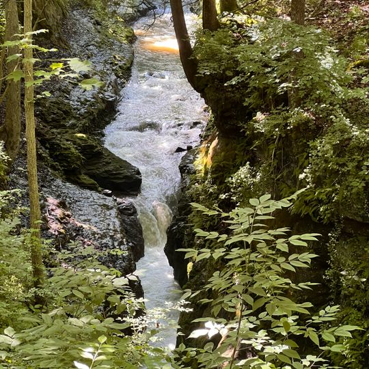 Clifton Gorge State Nature Preserve