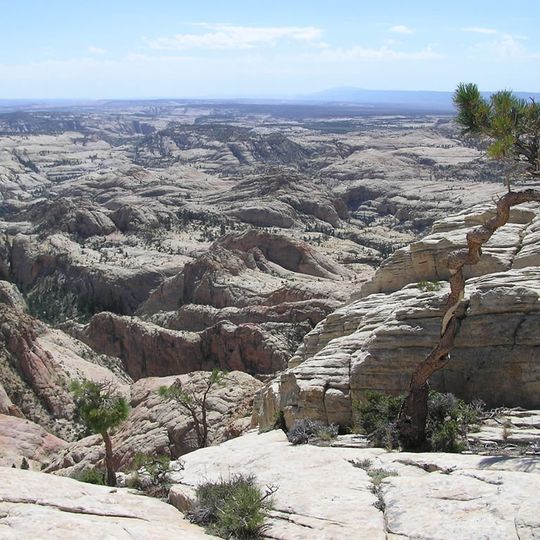 Box-Death Hollow Wilderness