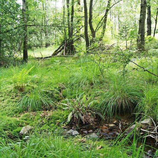 Fernhagener Bach und Jubachtal