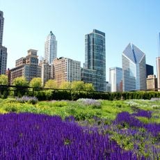 Lurie Garden