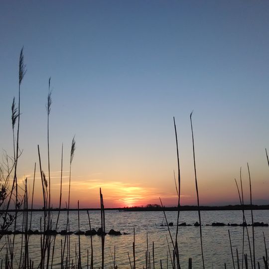 Back Bay National Wildlife Refuge
