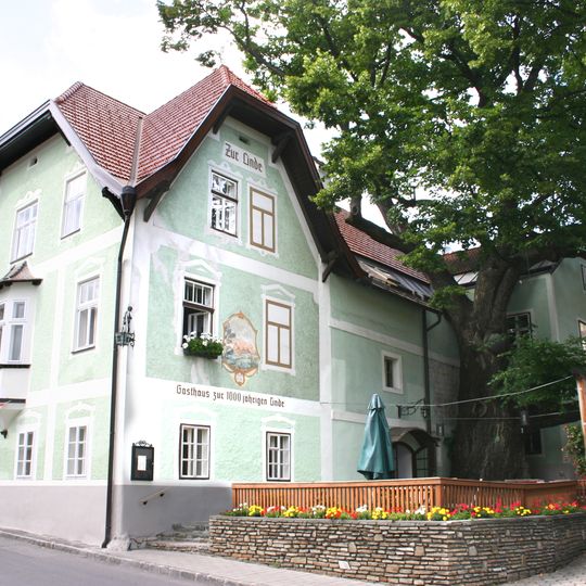 Gasthof/Hotel Zur 1000jährigen Linde