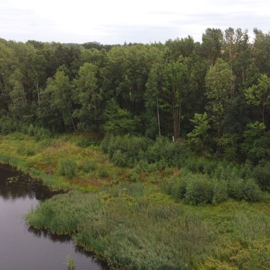 Ufergehölze am Stau VEG Obstbau