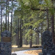Eddy Arboretum