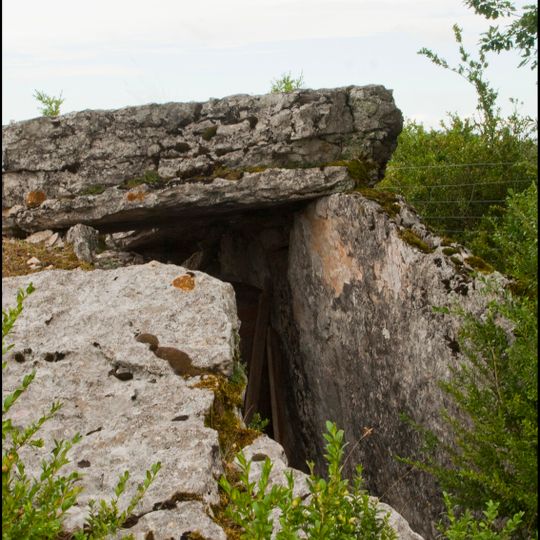 Dolmen du Mas de Pezet