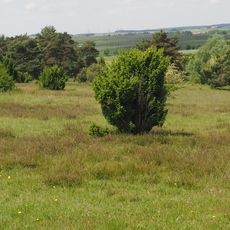 Naturschutzgebiet 'Sandharlander Heide'