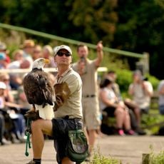 Hawk Conservancy Trust