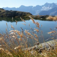 Vermiglio - Folgarida