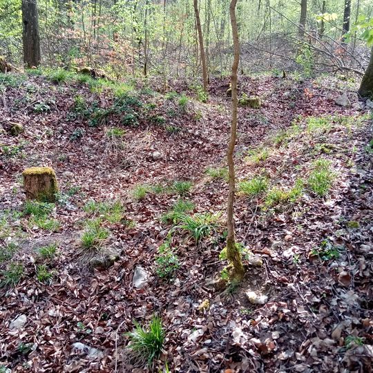 Welscher Berg Roman watchtower