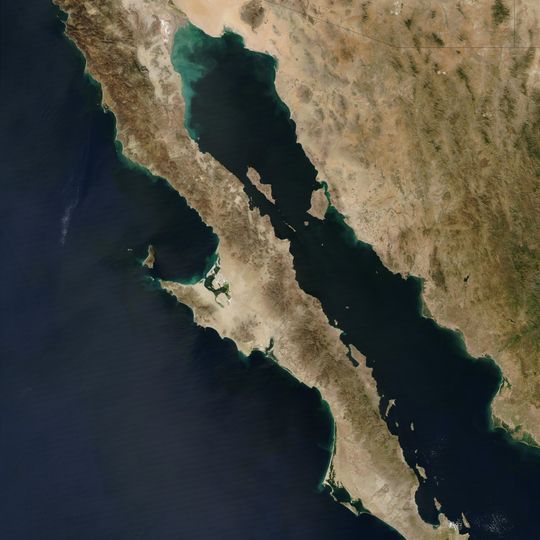 Magdalena Bay