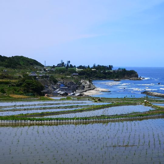 Sodeshi Rice Terraces