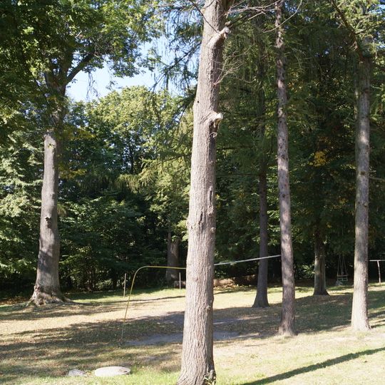 Park z aleją dojazdową