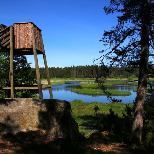 Hammarskogs naturreservat