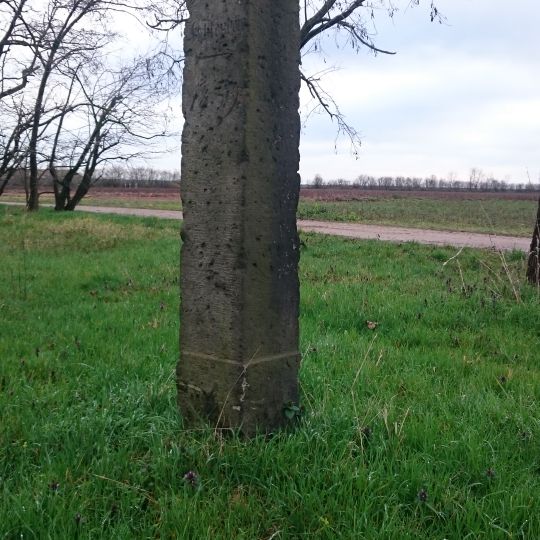 Distanzstein Altenau-Fichtenberg