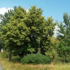 Kříž západně od Václavova