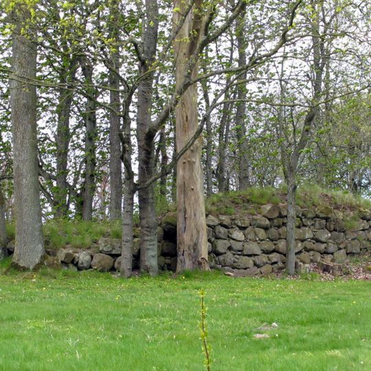 Stora Brandsvigs borgruin