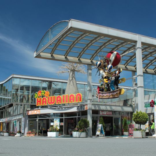 Mundo hawaiano de Izu