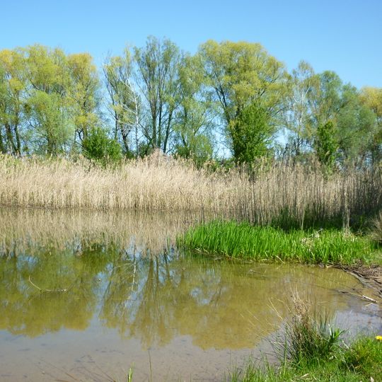 Biotopverbund Welsengraben