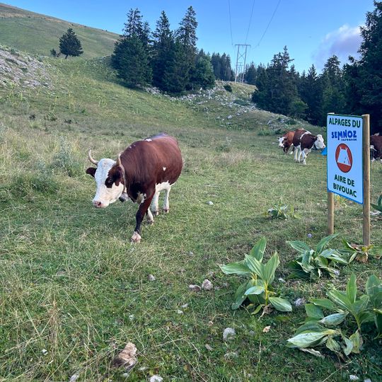 Aire de bivouac