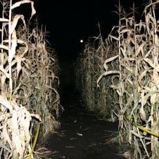 Edmonton Corn Maze
