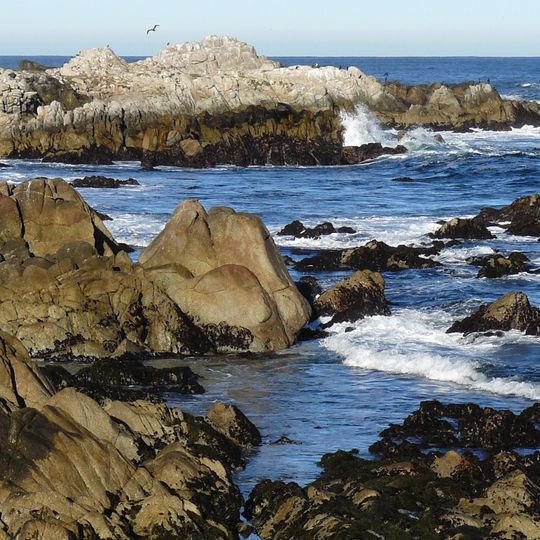 Asilomar State Marine Reserve