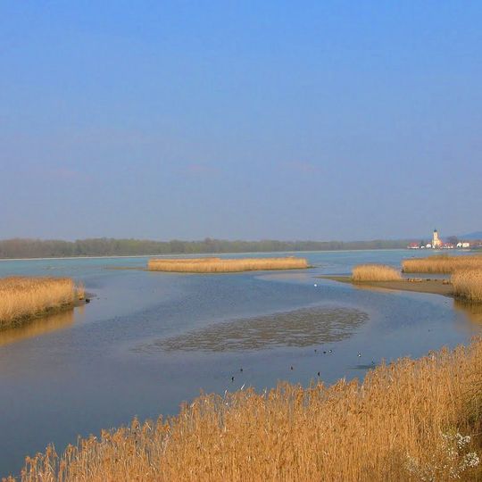 Vogelfreistätte Mittlere Isarstauseen