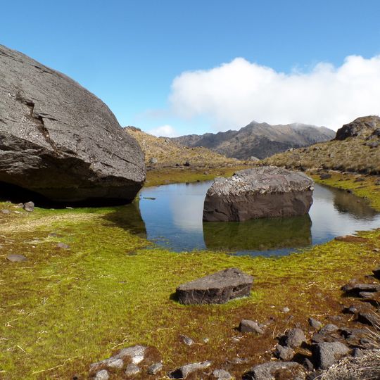 Parco nazionale di General Juan Pablo Peñaloza