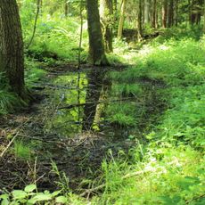 Gelbbauchunken-Habitate nördlich Ascholtshausen