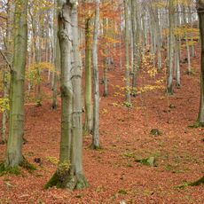 Východní Krušnohoří