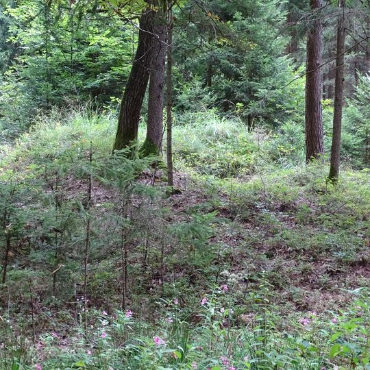 Grabhügelgruppe Hartwald