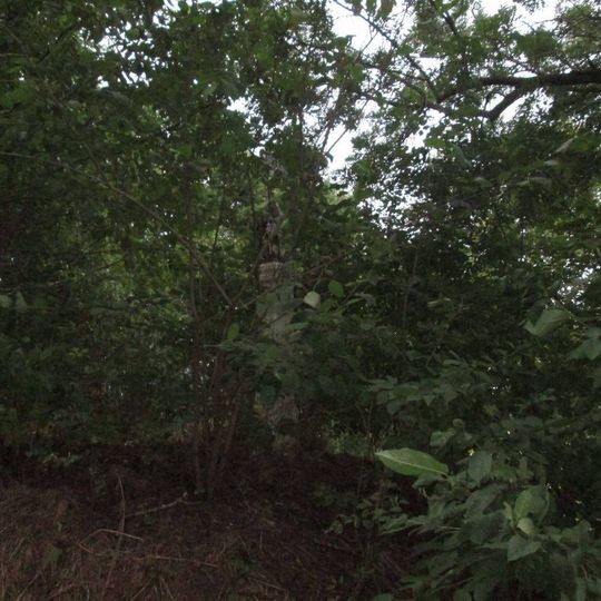 Kříž ve křoví v zatáčce východně od Nevolic