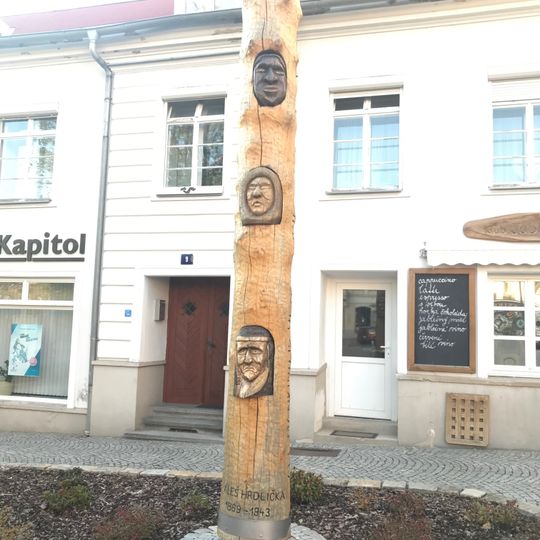 Statue of Muzeum Dr. Aleše Hrdličky