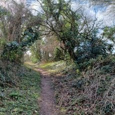 Wansdyke, section 530yds (490m) on W side of Old Dyke Lane