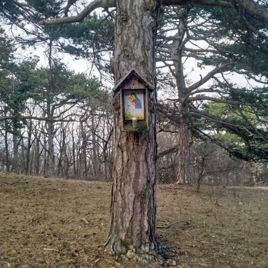 Tree shrine Bierhäusl mountain