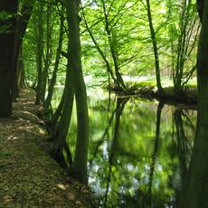 Röderauwald Zabeltitz